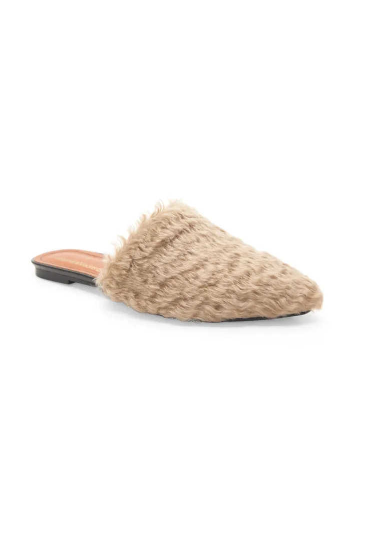 AM x STARCH SLIDES - CAMEL