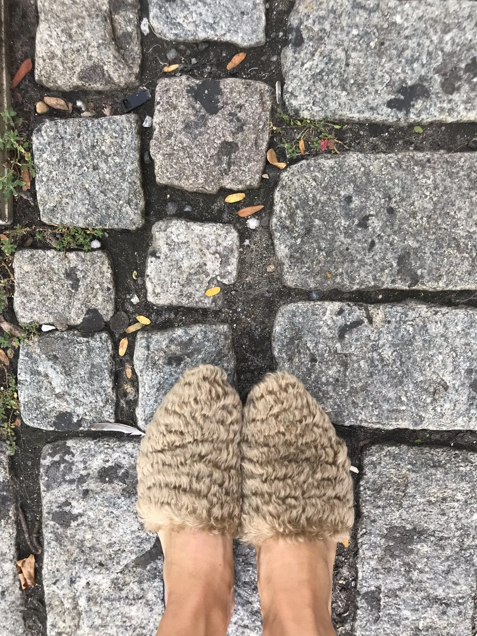 AM x STARCH SLIDES - CAMEL