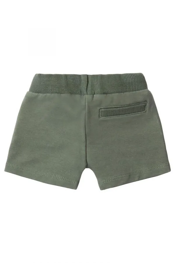 Beuna Vista Shorts-Agave Green