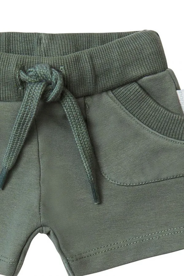 Beuna Vista Shorts-Agave Green