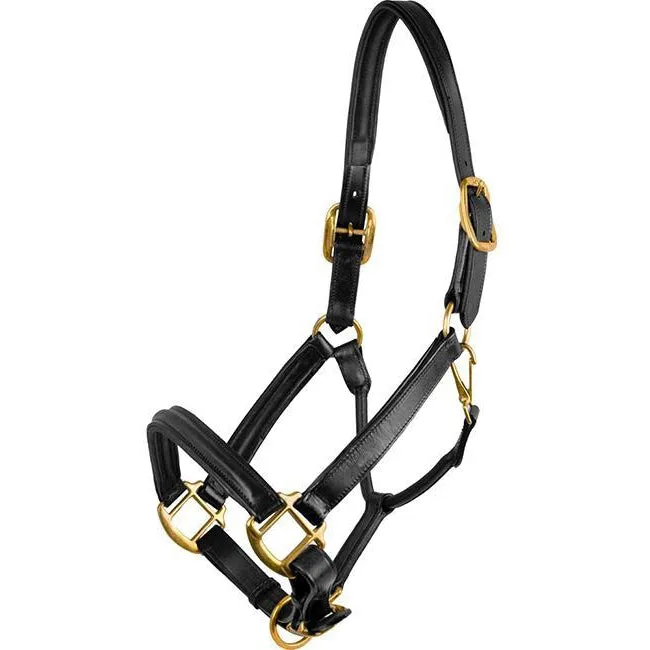 Flex Rider Black Raised Leather Halter