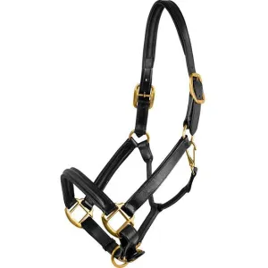 Flex Rider Black Raised Leather Halter
