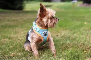 Ice Cream Sprinkles Dog Harness - Mint