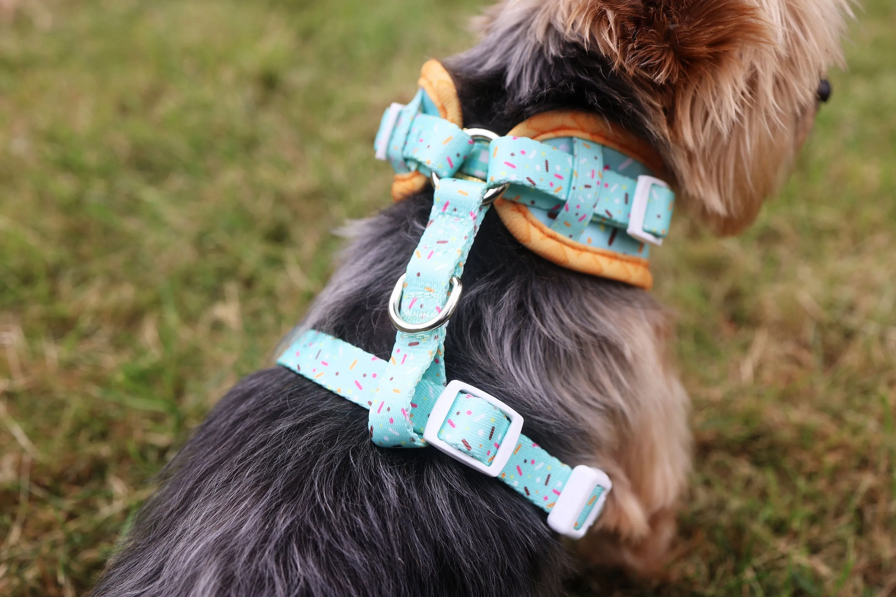 Ice Cream Sprinkles Dog Harness - Mint