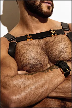 Leather Chest Harness