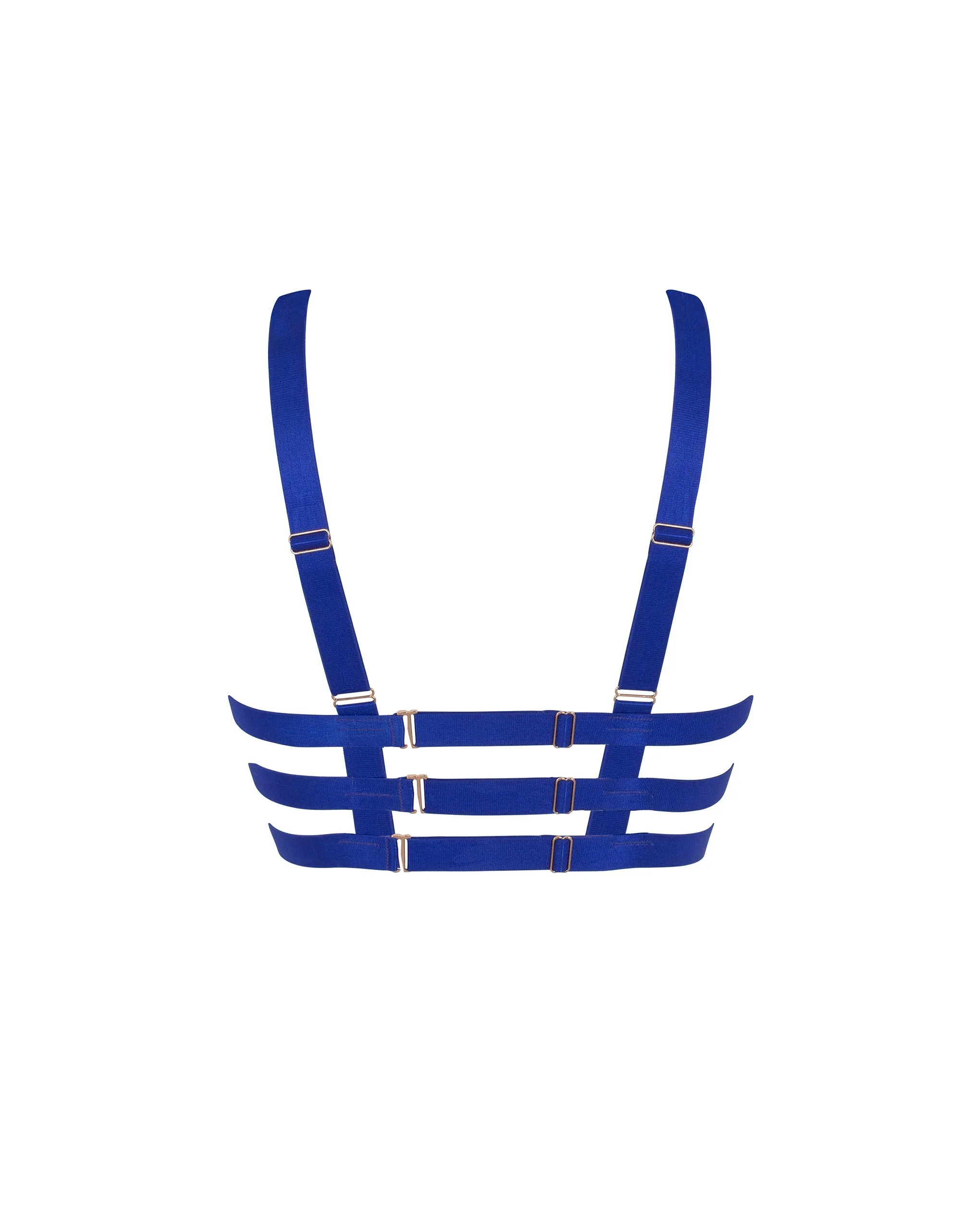 Miriam ECO Bra Surf the Web Blue