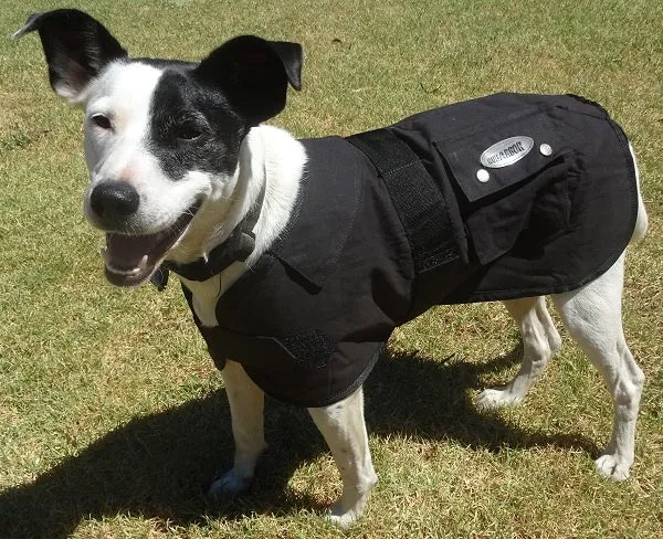 Nullarbor Oilskin Dog Rug
