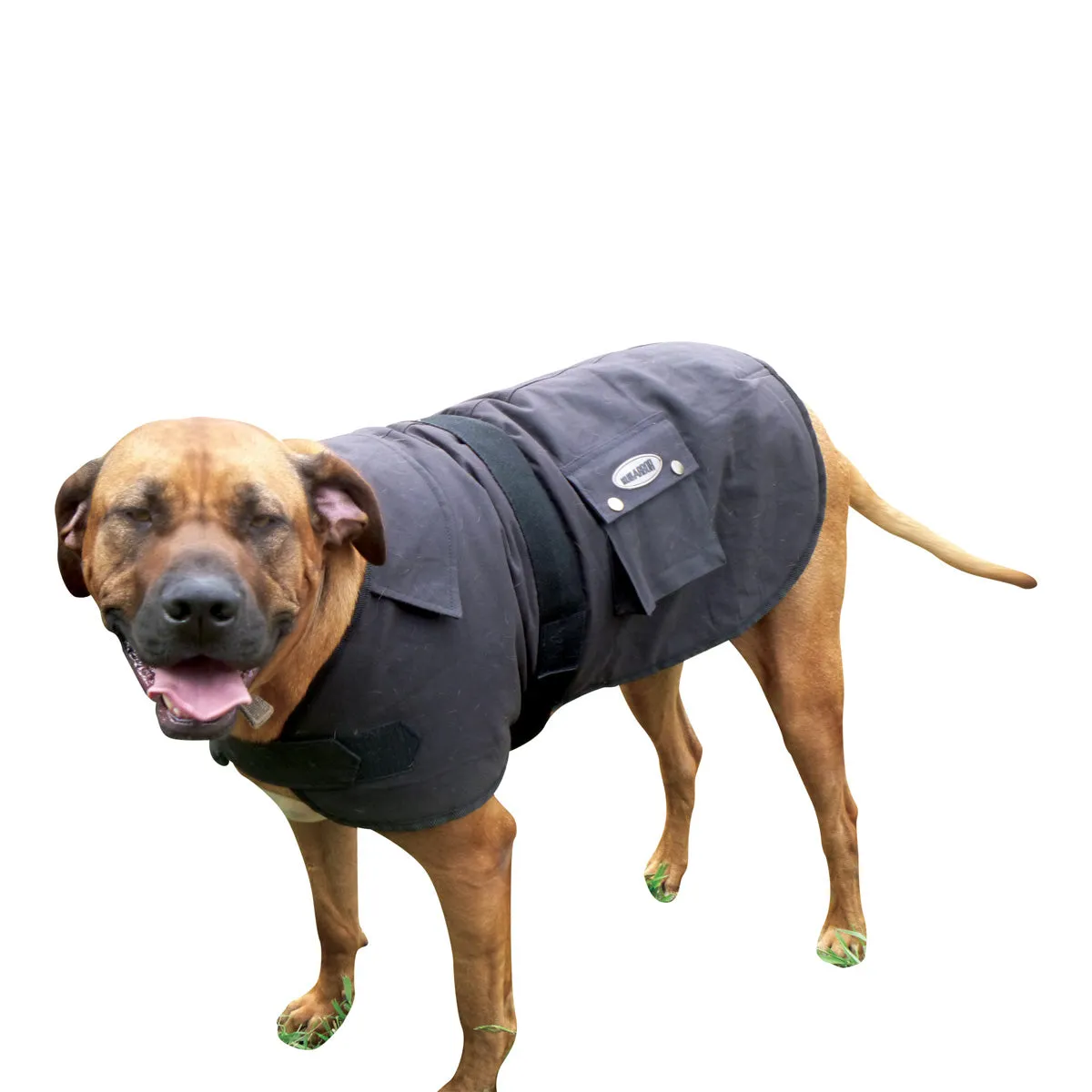 Nullarbor Oilskin Dog Rug