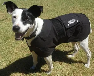 Nullarbor Oilskin Dog Rug
