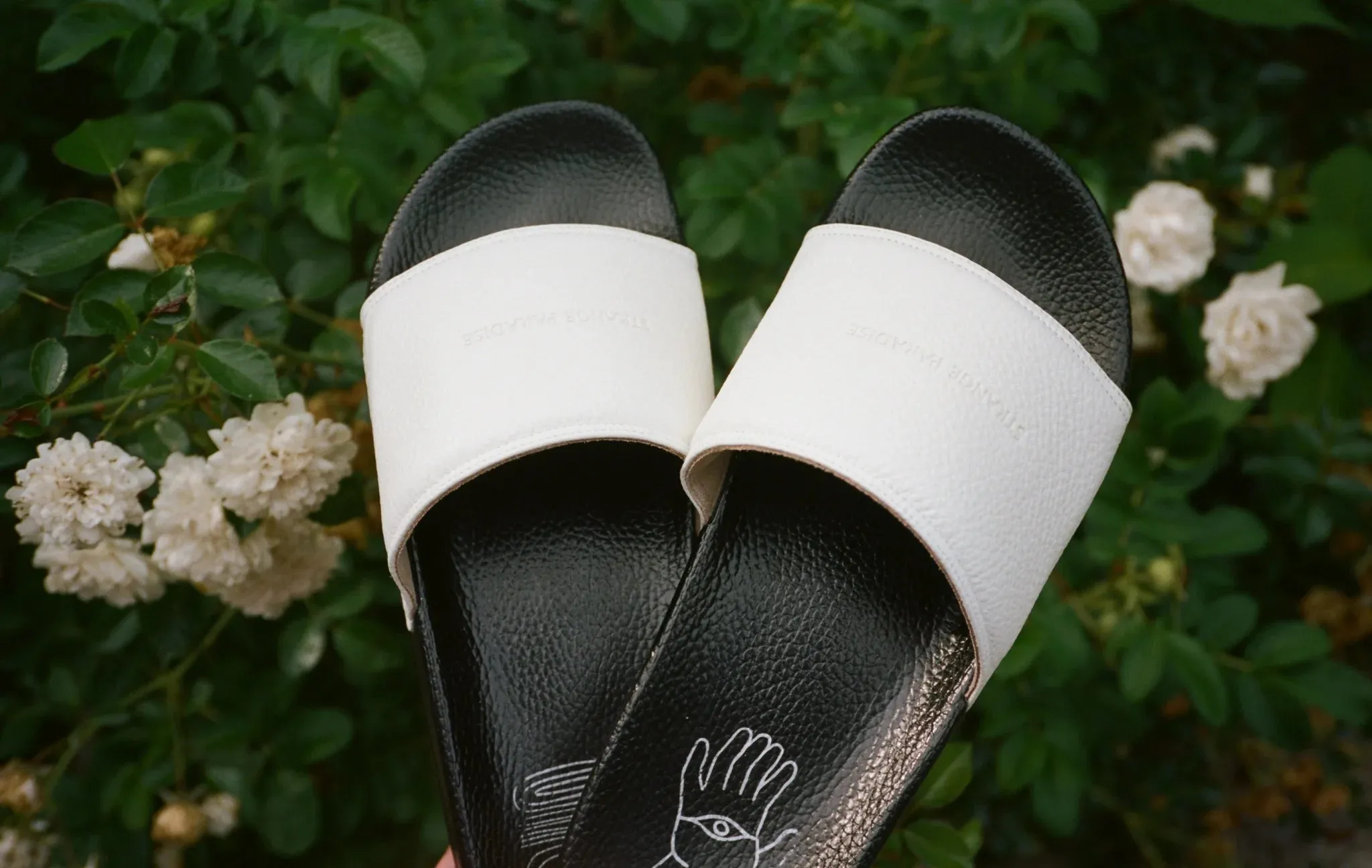 Strange Paradise Leather Sandal in Bianco