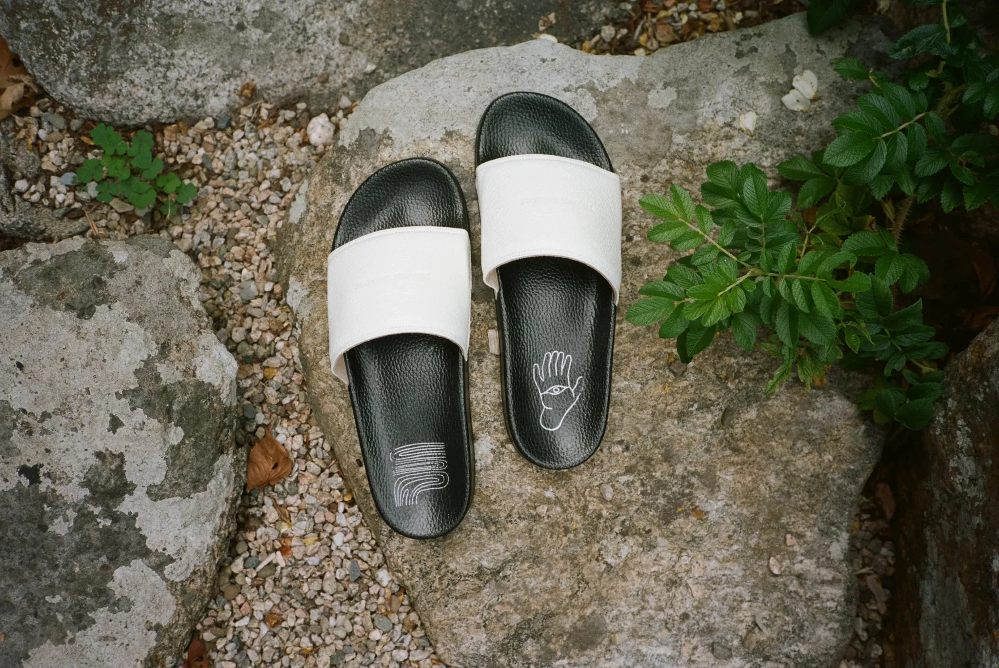 Strange Paradise Leather Sandal in Bianco