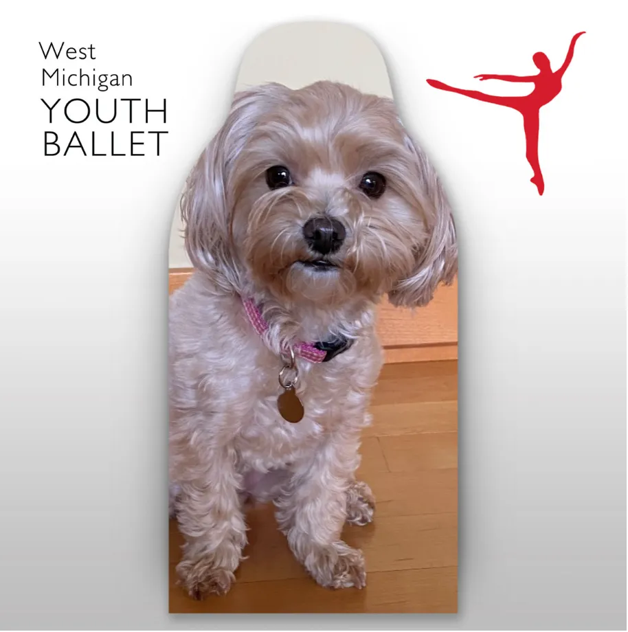 West Michigan Youth Ballet Fan Cutouts